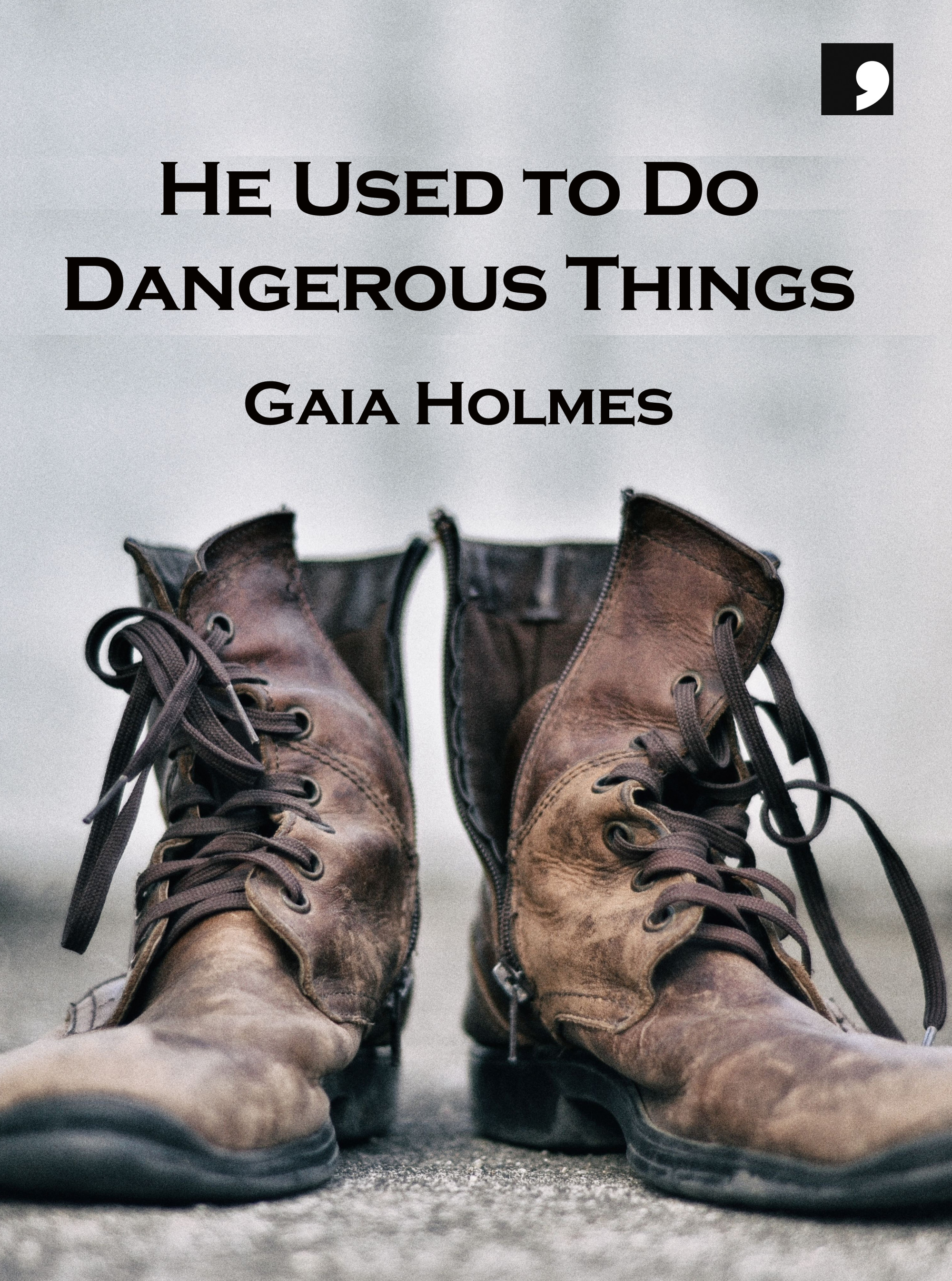 He Used to Do Dangerous Things book cover