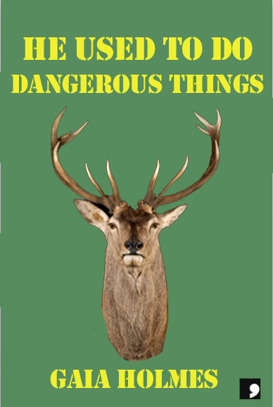 He Used to Do Dangerous Things book cover