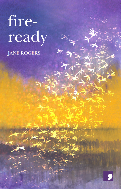 Fire Ready book cover