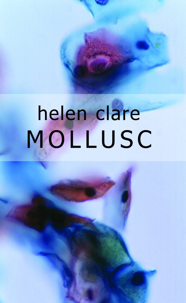 Mollusc book cover