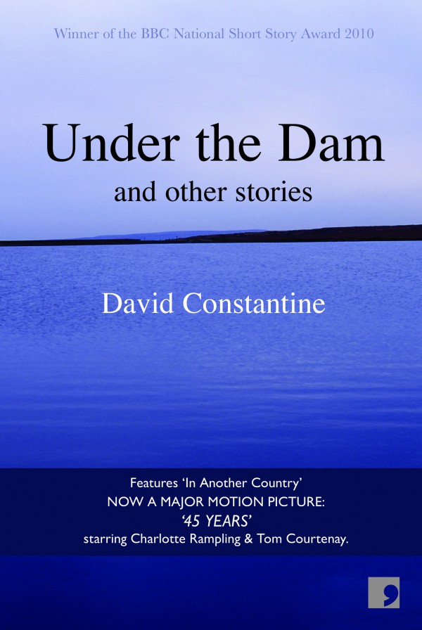 Under the Dam book cover