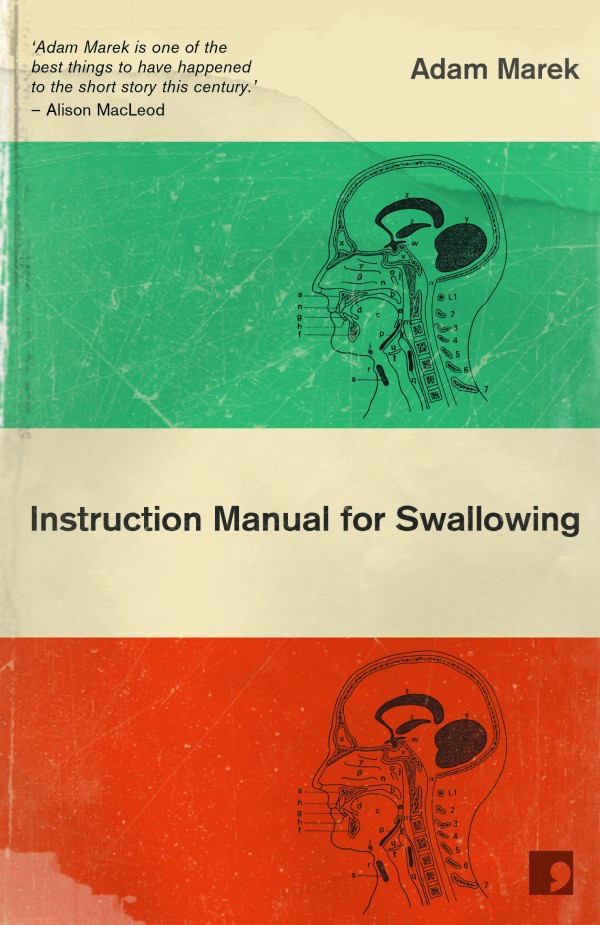 Instruction Manual for Swallowing book cover