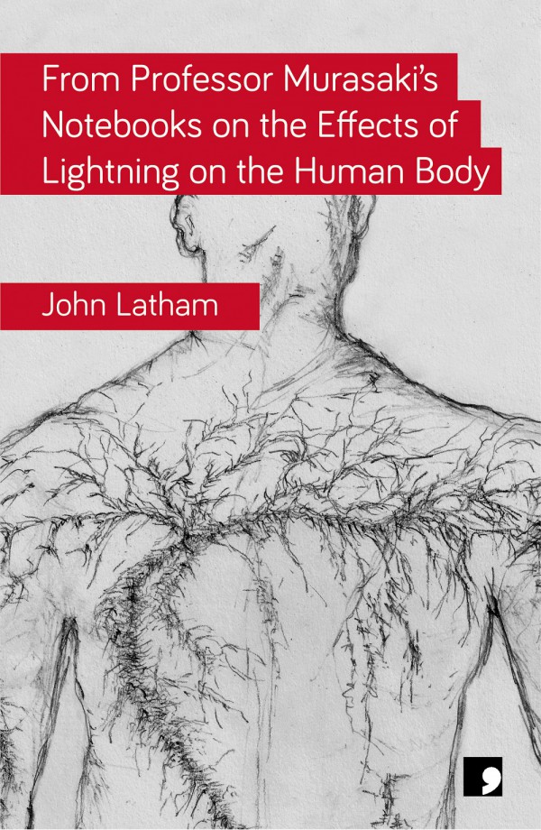 From Professor Murasaki’s Notebooks on the Effects of Lightning on the Human Body book cover