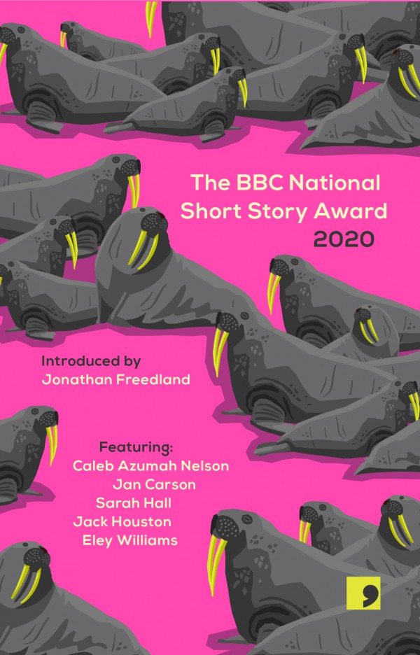 The BBC National Short Story Award 2020 book cover