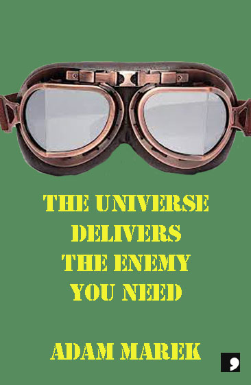 The Universe Delivers the Enemy You Need book cover
